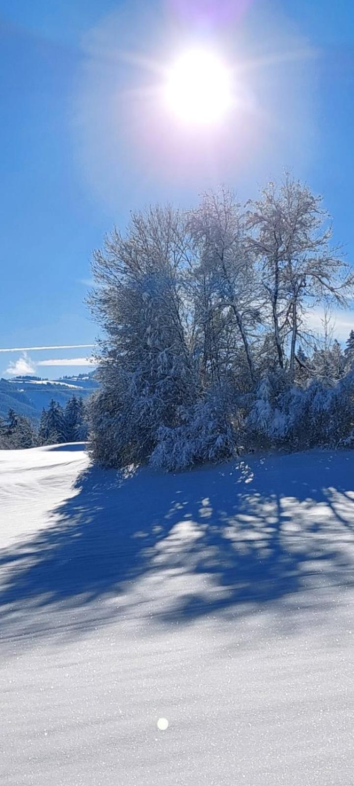 Traumplatz Im Allgaeu * Rettenberg
