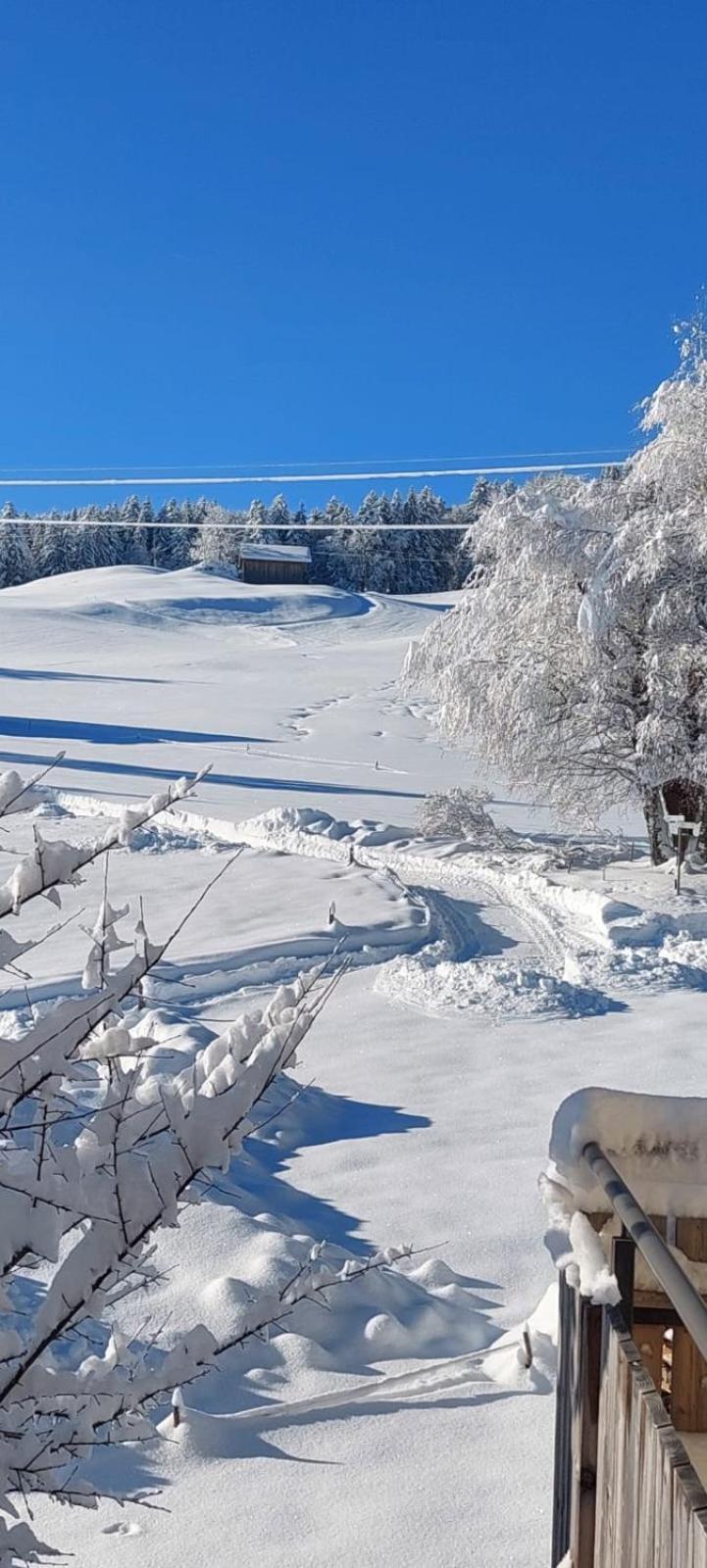 Traumplatz Im Allgaeu